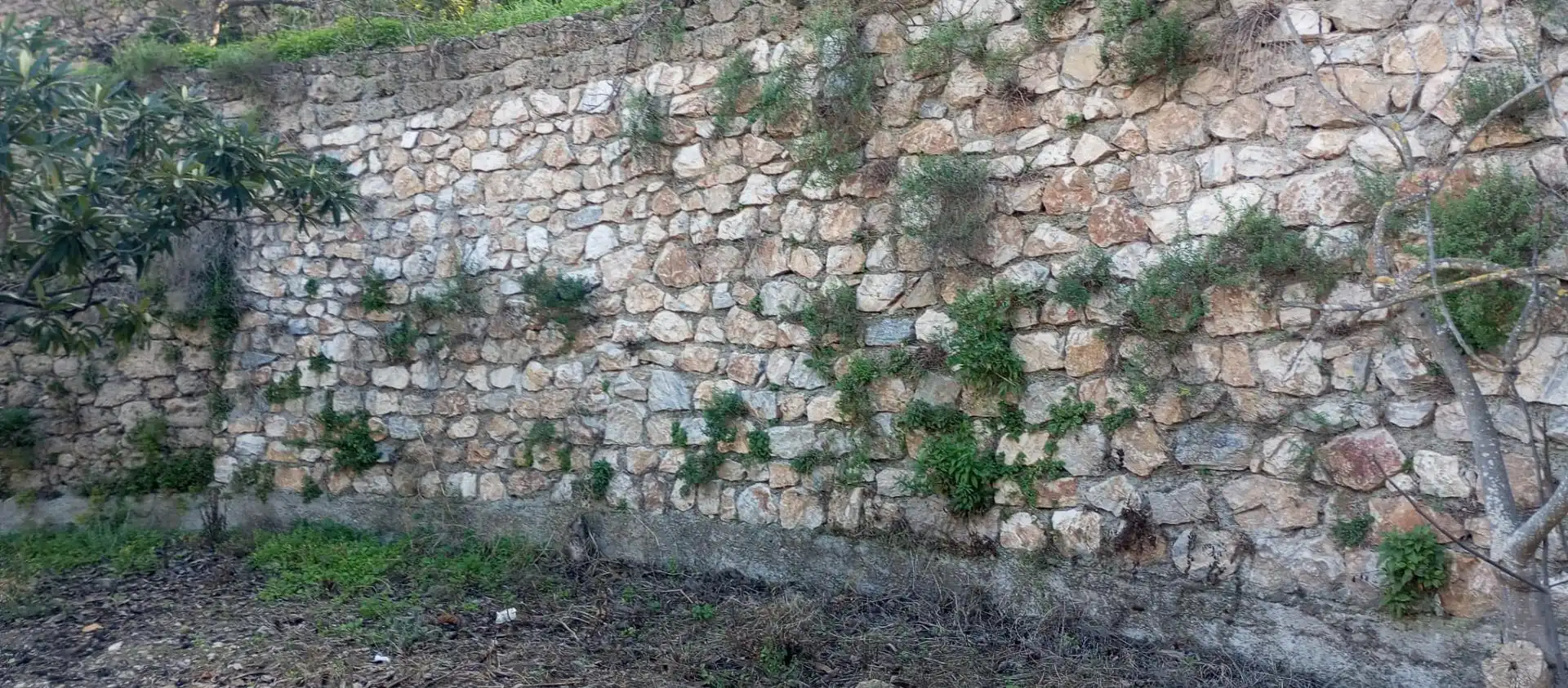 Casa rústica amb jardí en venda a Vélez de Benaudalla, imagen 4
