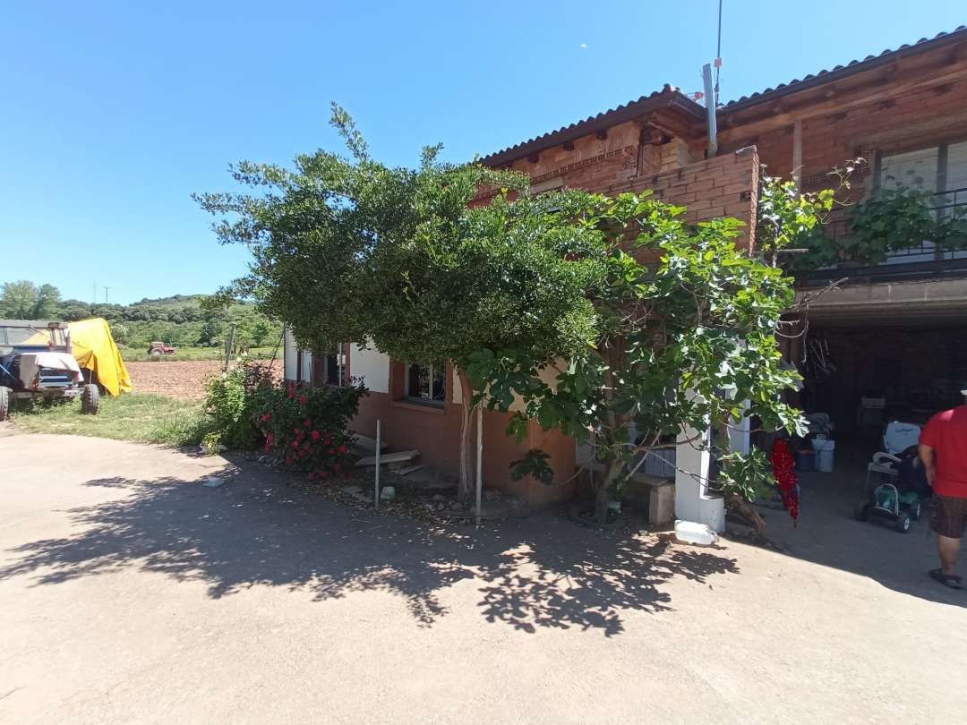 Exterior view of House or chalet for sale in Anguiano  with Heating, Private garden and Terrace