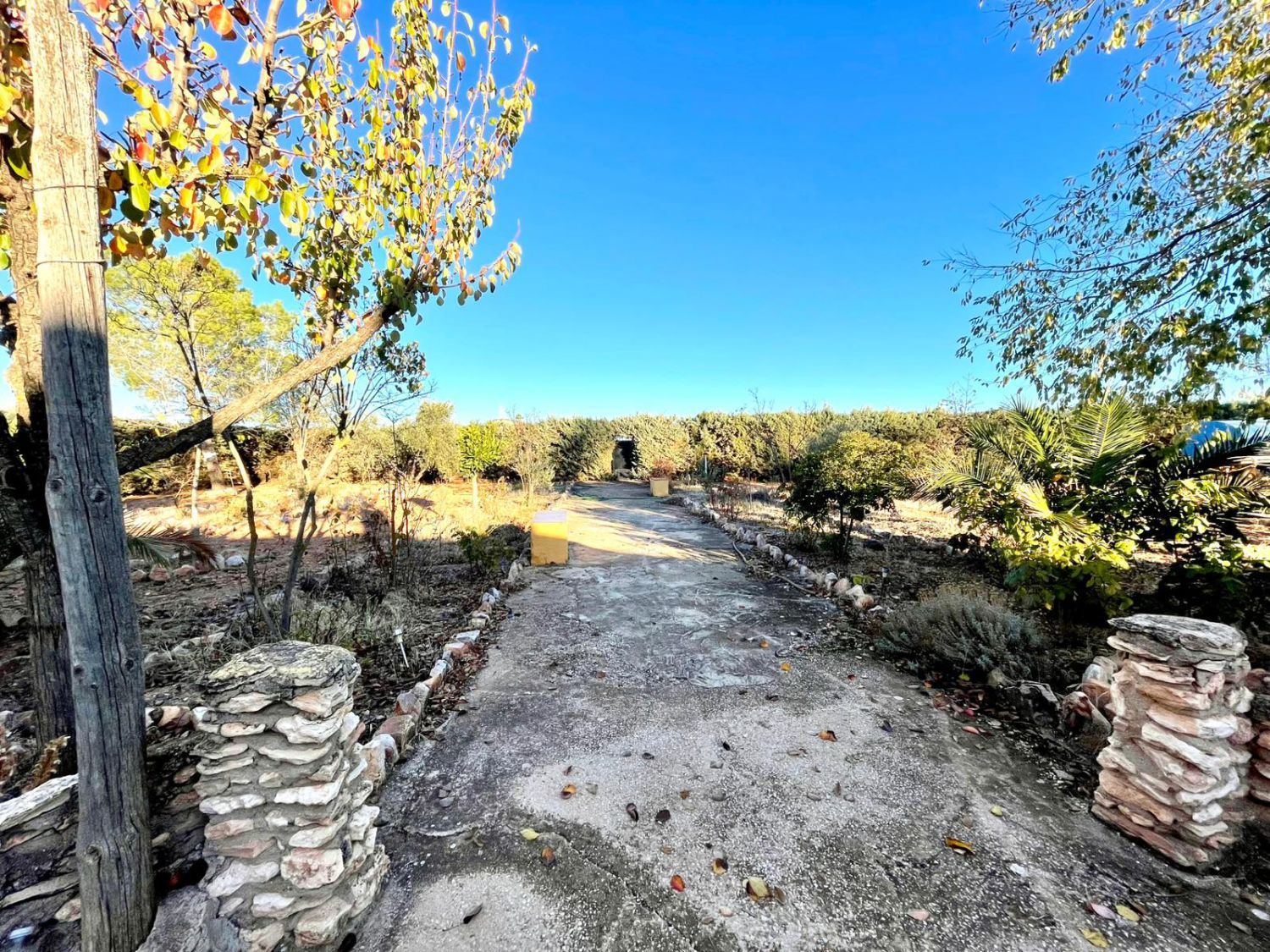 Finca rústica en venta en Valdepeñas con Piscina