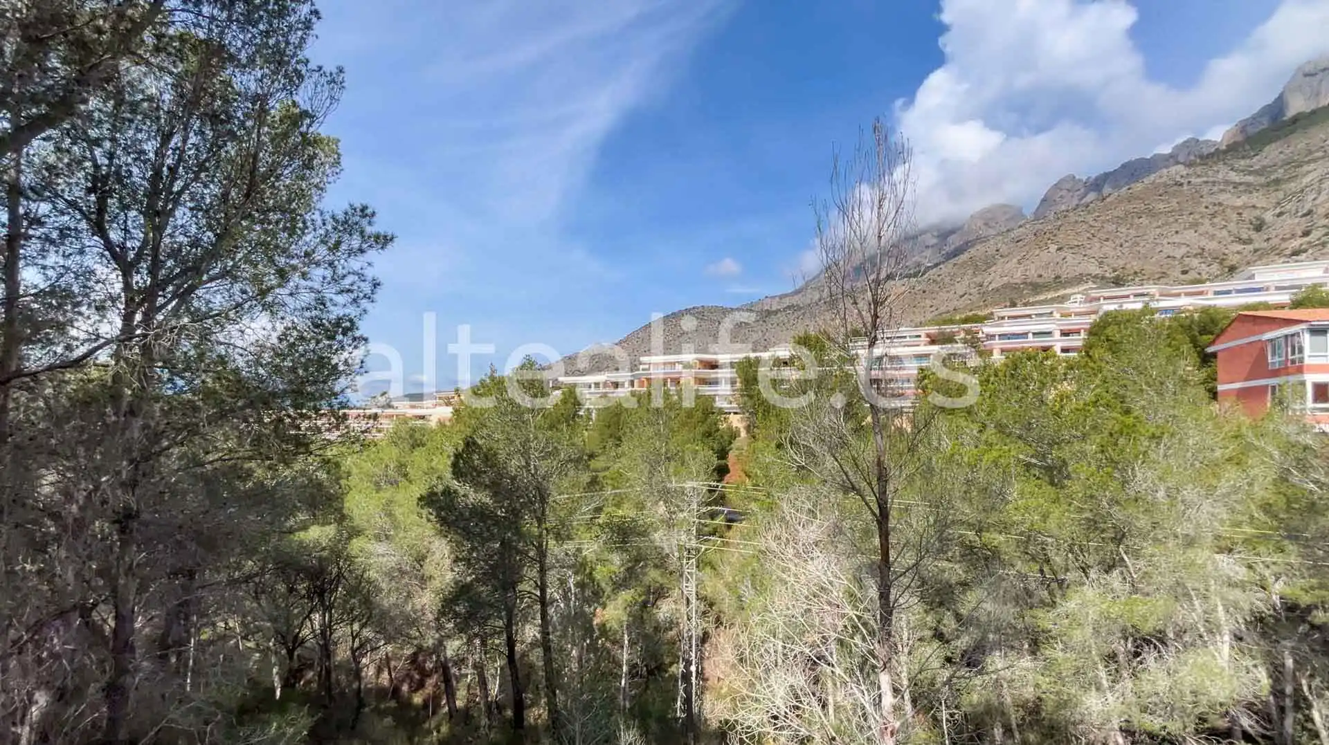 Terreny residencial en venda a Calle Erica, imagen 3