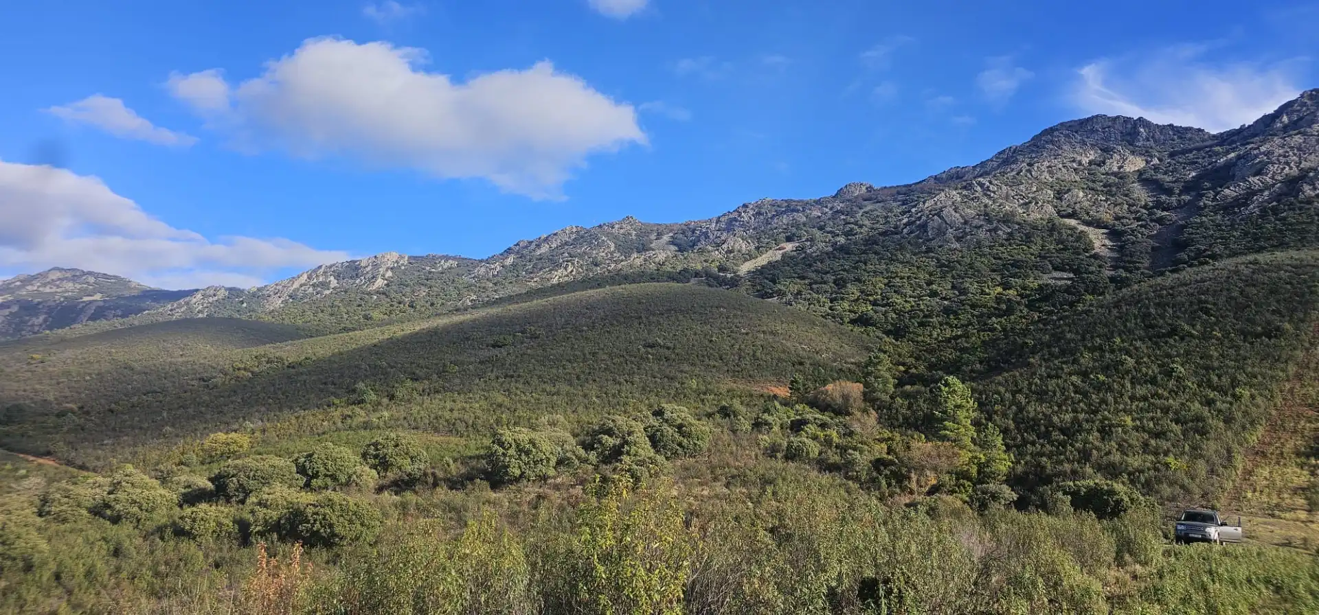 Terreni e lotti in vendita a Alía, imagen 8