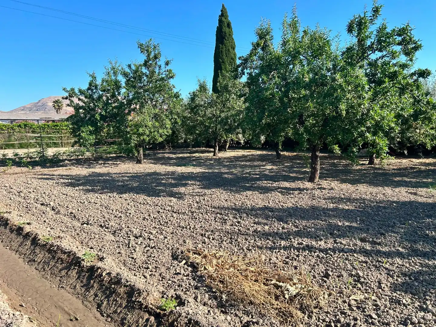 Terreni e lotti in vendita a Atarfe, imagen 15
