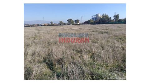 Foto 5 von Country house zum Verkauf in Navalmoral de la Mata, Cáceres