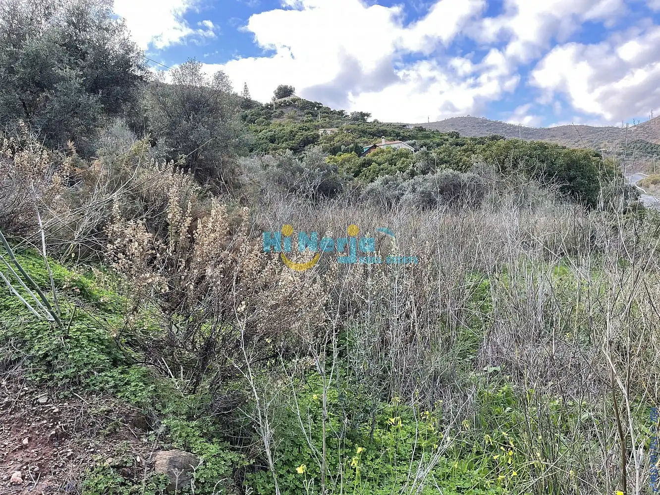 Terreni e lotti in vendita a Centro, imagen 5