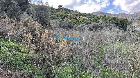 TERRENO PARA USO AGRARIO., immagine 5
