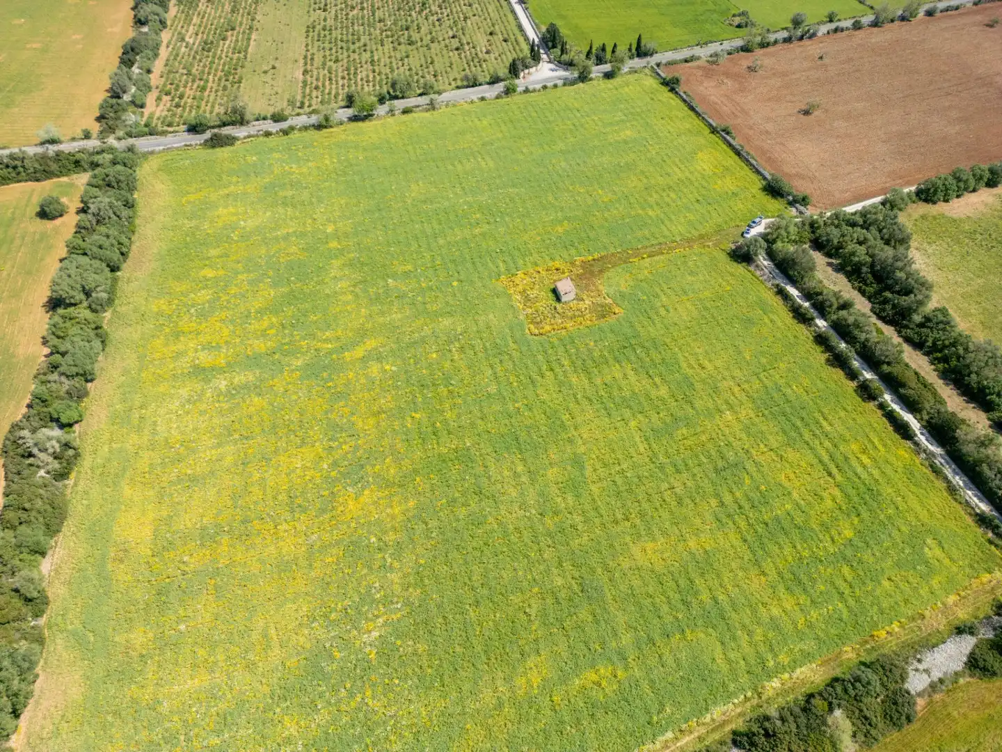Terreno en venta en Porreres