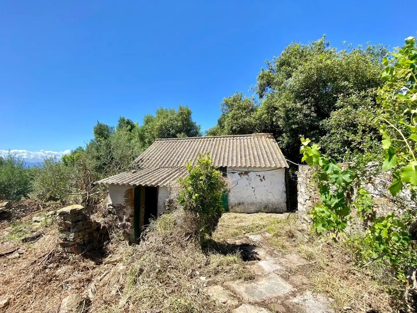 Finca rústica en venda a Tarifa ciudad