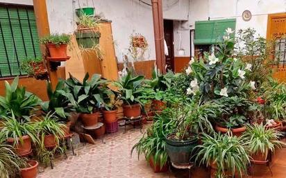 Jardí de Pis en venda en  Toledo Capital amb Balcó