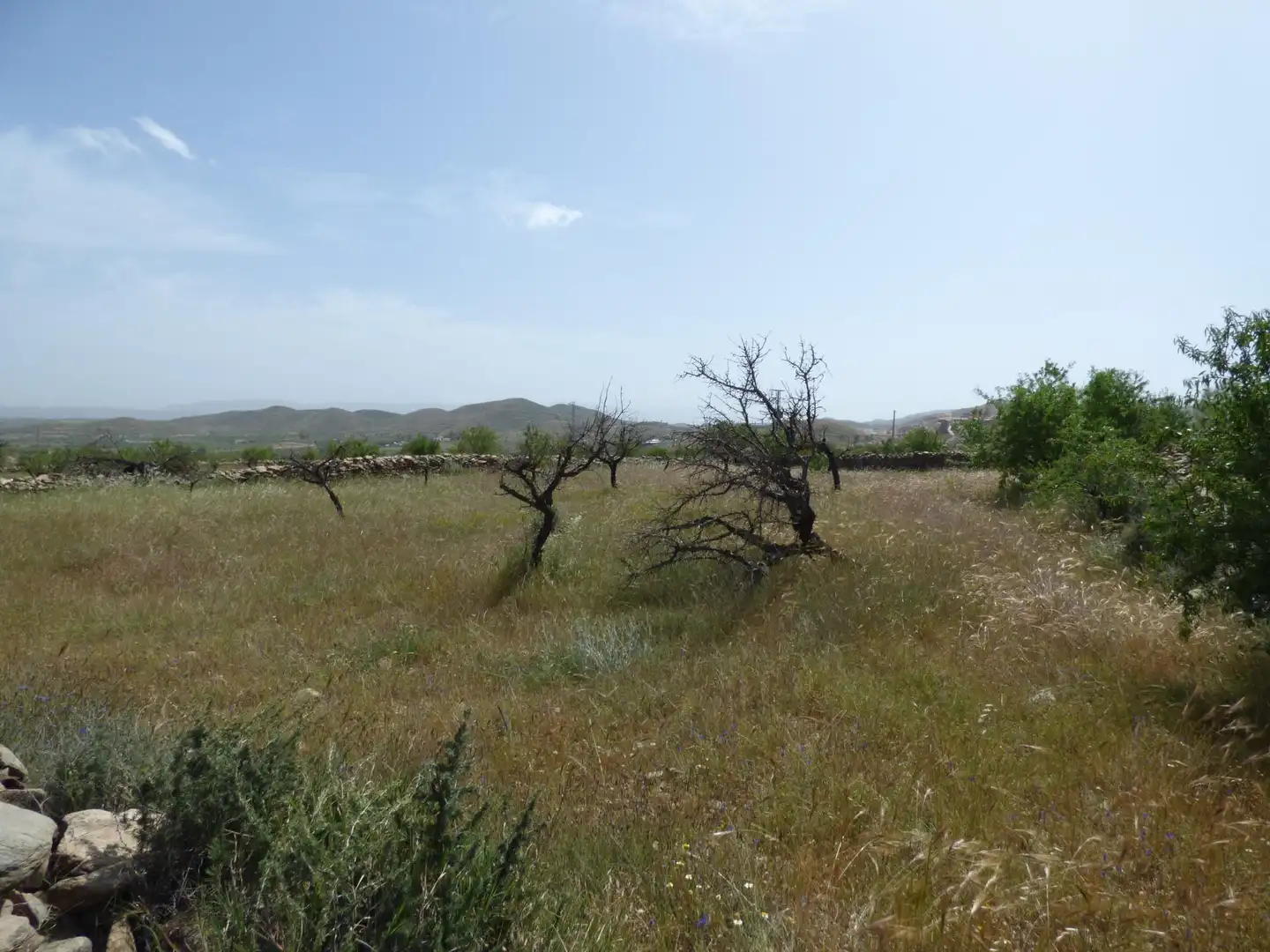 Rustikales Grundstück zum Verkauf in Uleila del Campo, imagen 3