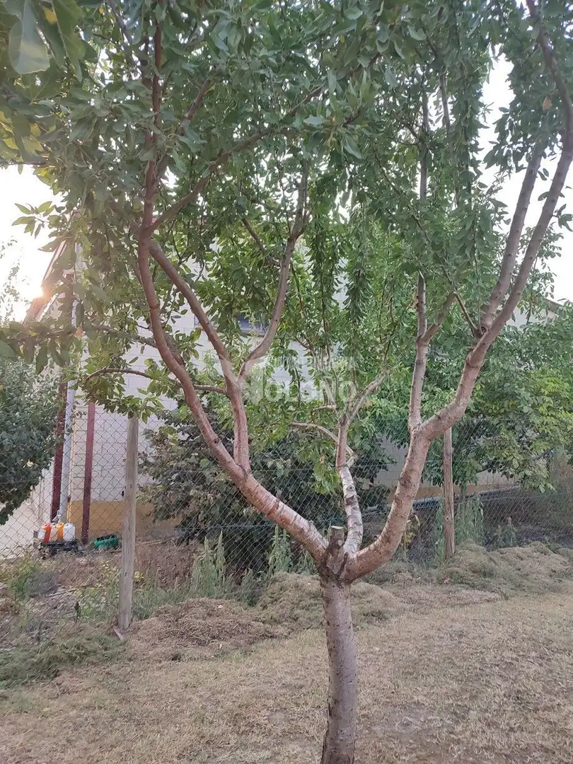 Terreni e lotti in vendita a Haro, imagen 35