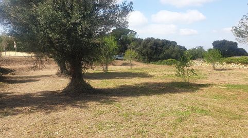 Foto 5 de Residencial en venta en Els Masos de Pals, Pals