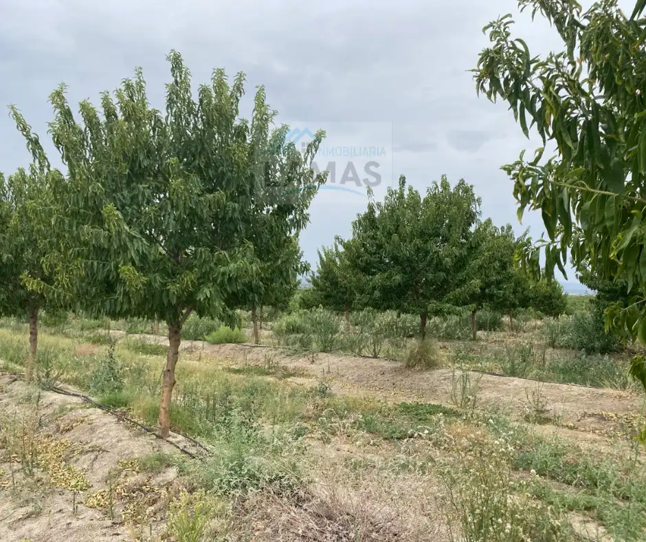 Terreni e lotti in vendita a Saucedilla, imagen 4