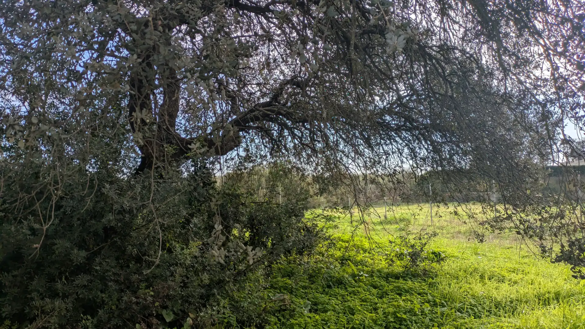 Residencial en venda en Bollullos de la Mitación