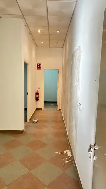 Gewerbefläche zur Miete in Zona el Caño, imagen 9