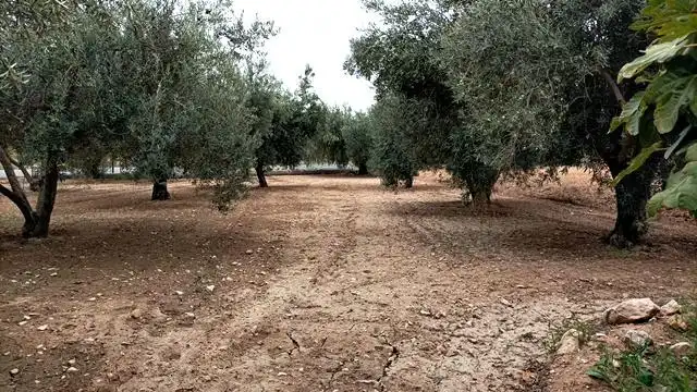 Xalet amb piscina en venda a Los Girasoles, imagen 6