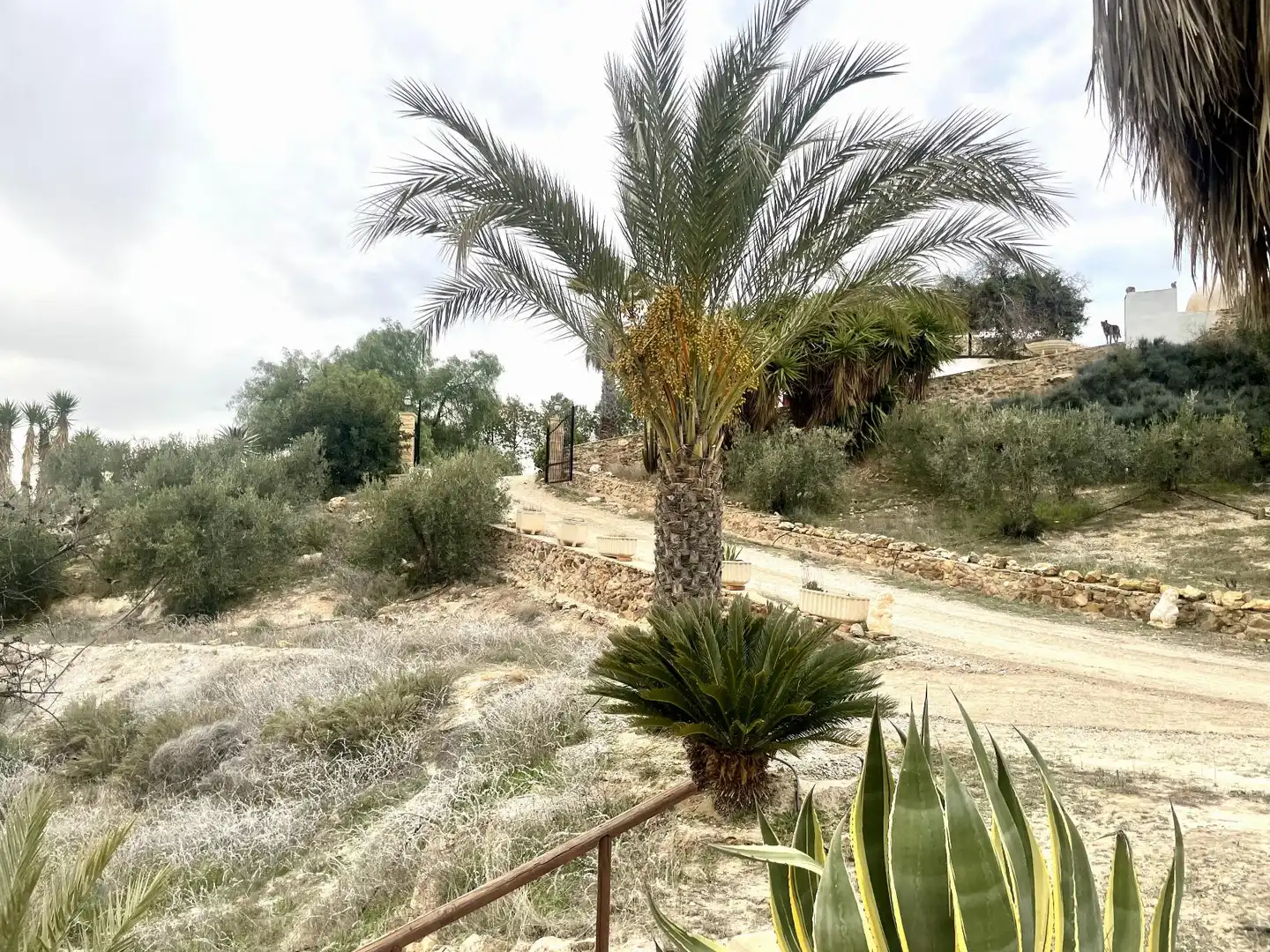 Haus zum Verkauf in Aguaderas, imagen 36