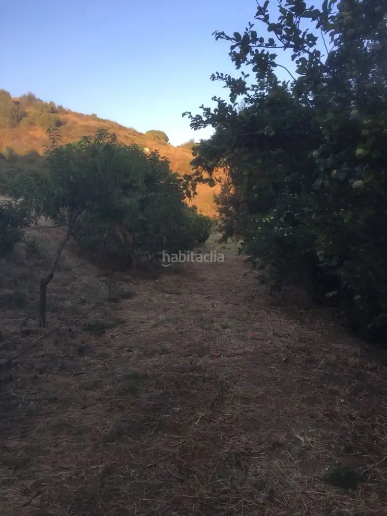 Terreni e lotti in vendita a Diseminado Poligono 14 28, imagen 7
