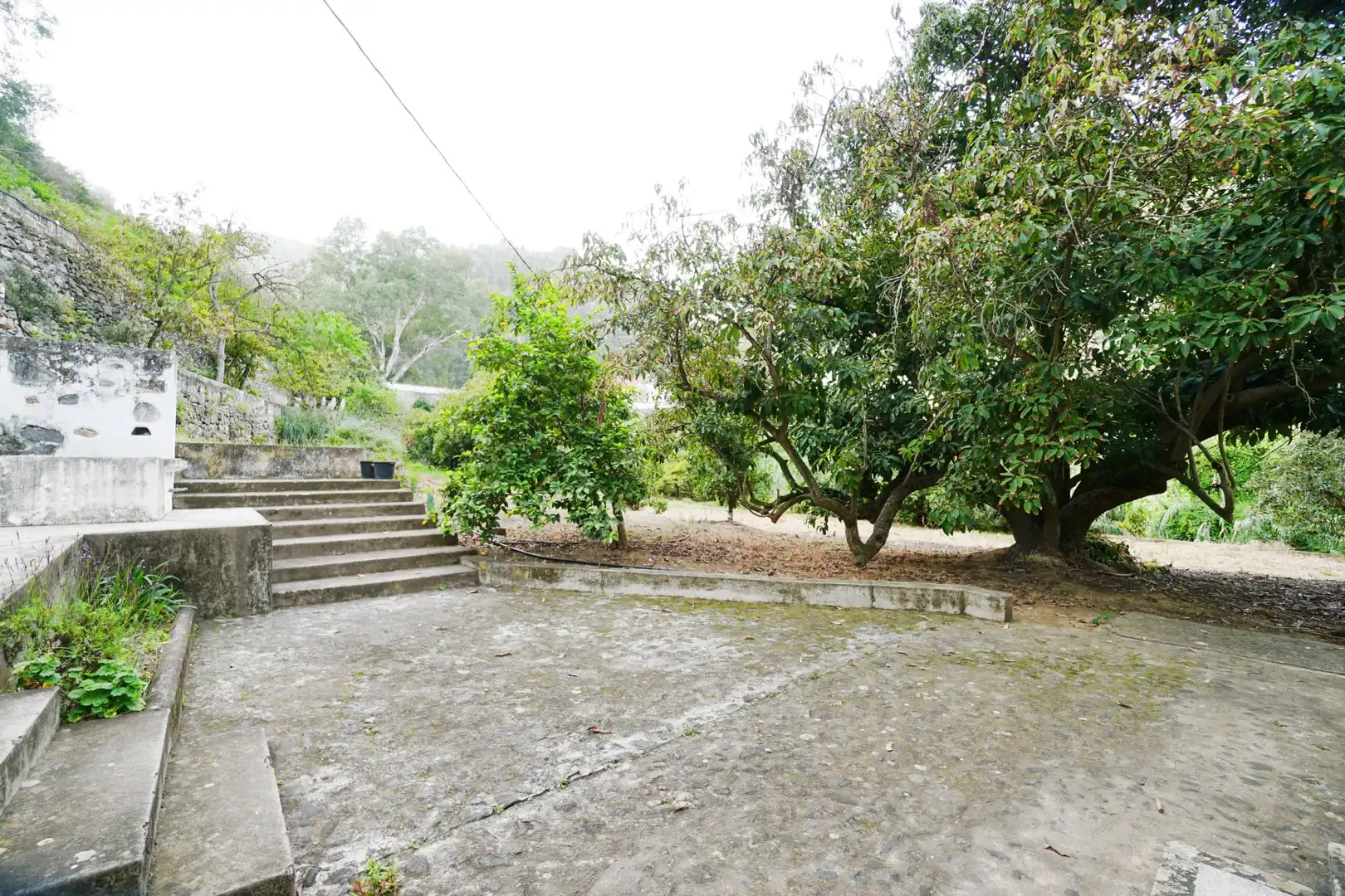 Jardí de Finca rústica en venda en Teror amb Jardí privat i Terrassa