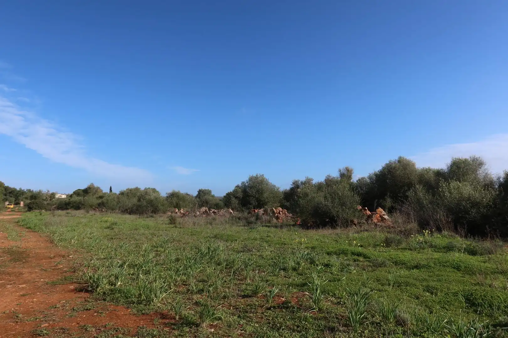 Residential land for sale in Campos poble, imagen 15