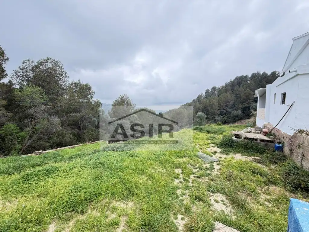 Houses for sale in Alzira