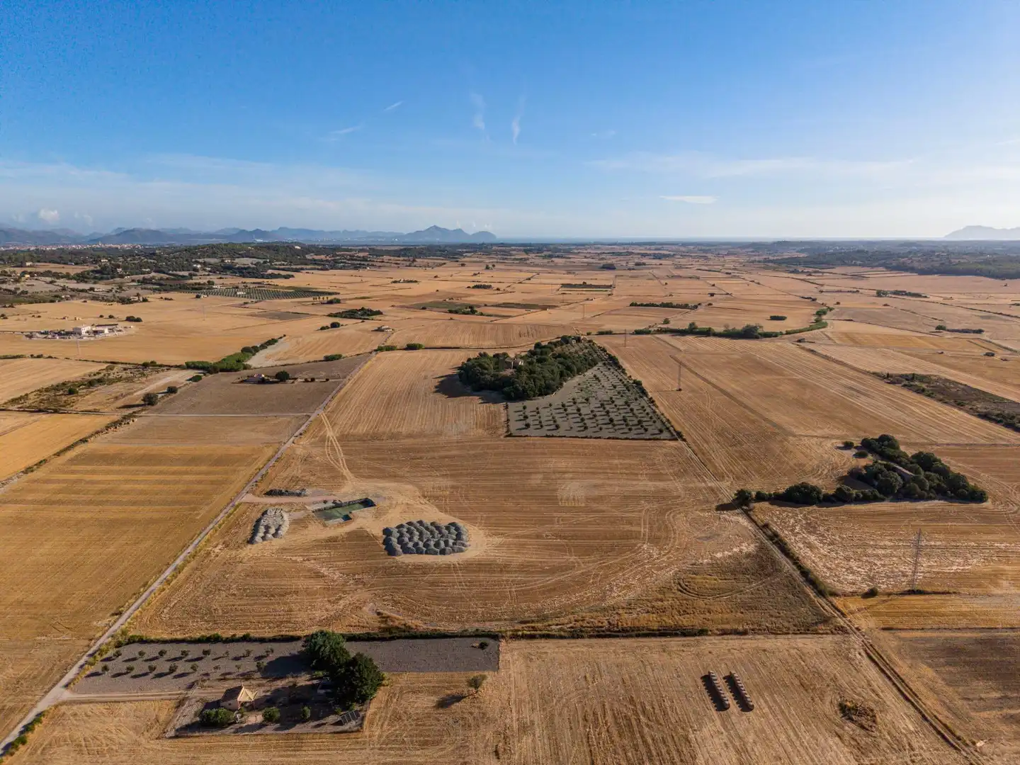 Terreny rústic en venda a Polígono parcela 207 2, imagen 25