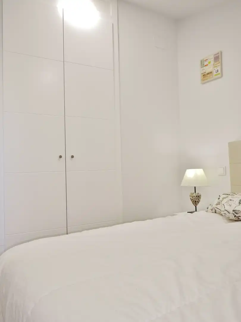 Bedroom of Attic for rent in Madrid  with Air Conditioner, Heating and Furnished