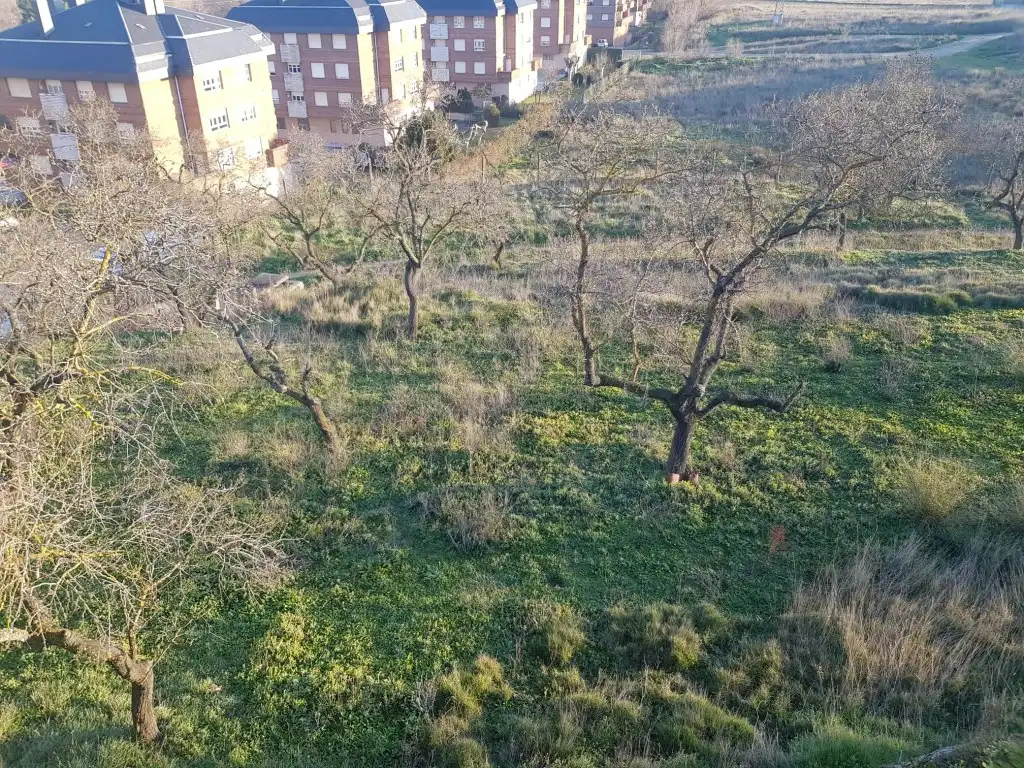 Terreny residencial en venda a Camino Eras Santa Lucia 1, imagen 2