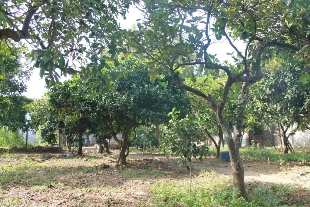 Casa o xalet en venda en San Martín del Tesorillo amb Calefacció, Jardí privat i Terrassa