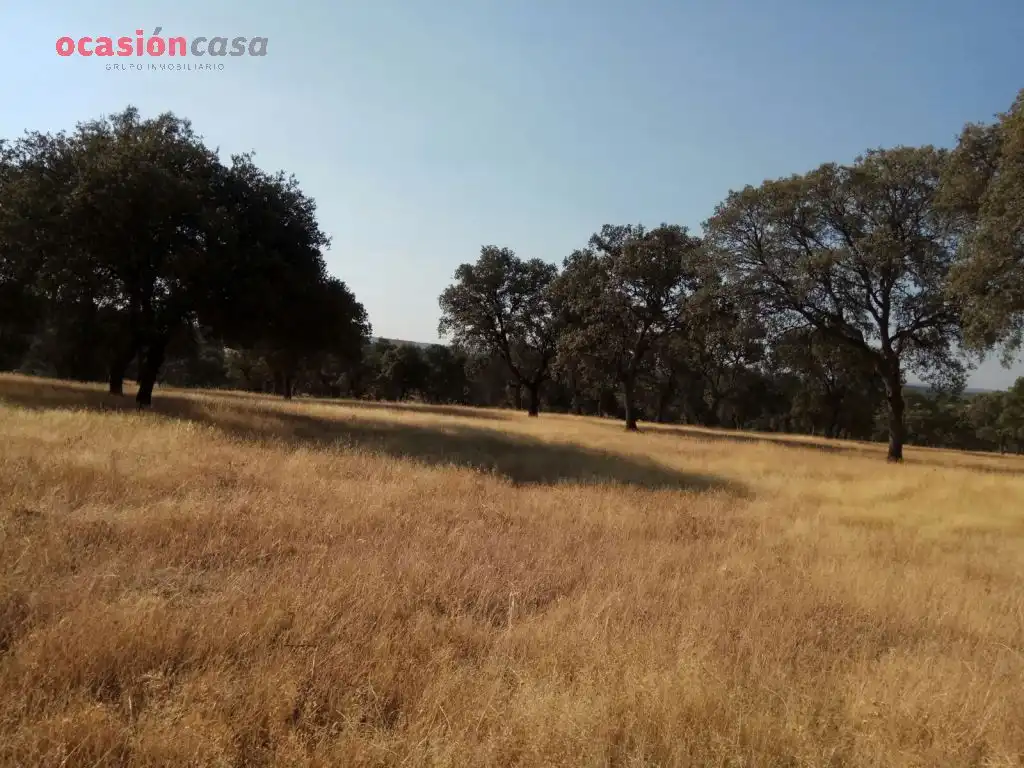 Country homes for sale in Torrecampo