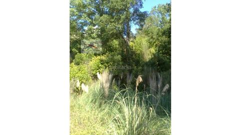 1.300m2 en Urb. Puigventos, imatge 5
