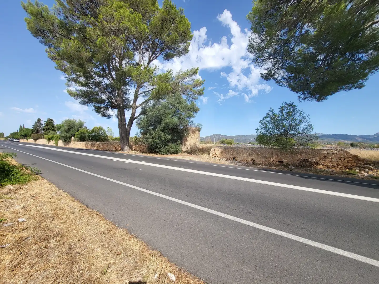 Terrain rustique à vendre à Polígono 2 Parcela 1, imagen 16