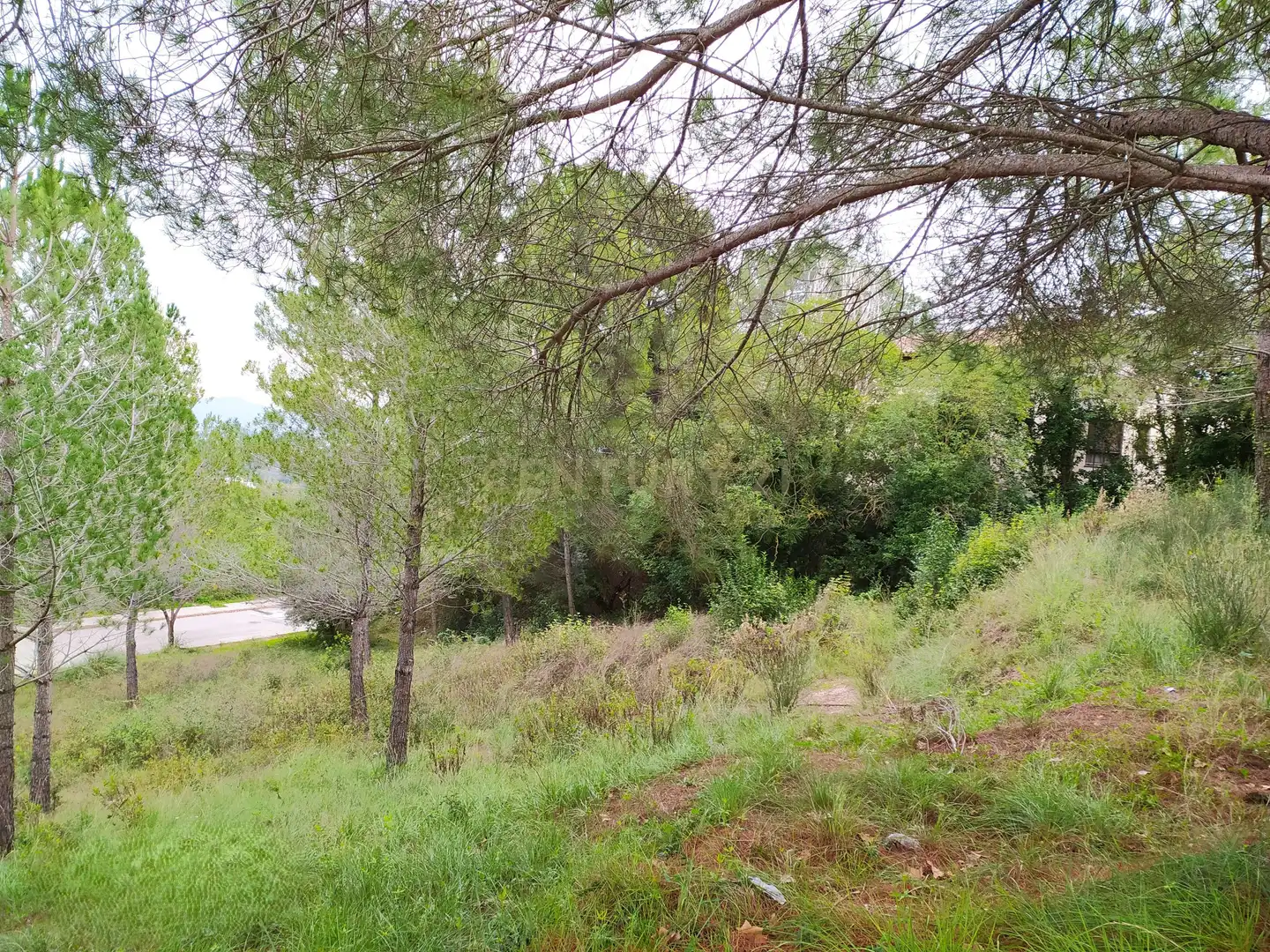 Residential land for sale in Ronda de la Pagesia, Sant Llorenç d'Hortons, Spain 69, imagen 8