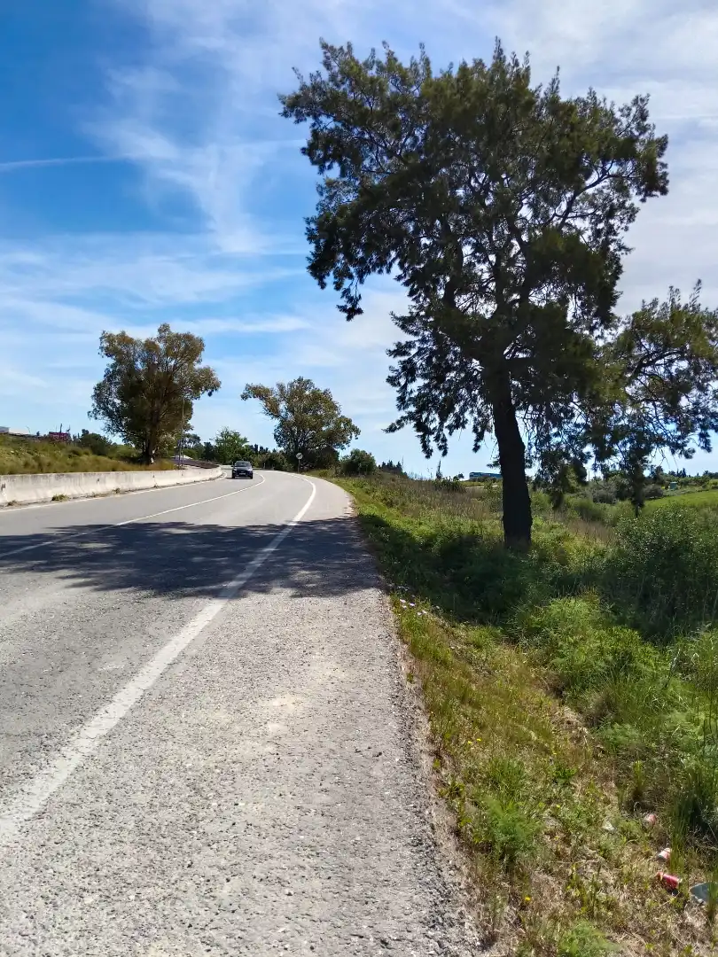 Terreny rústic en venda a Arcos de la Frontera, imagen 6