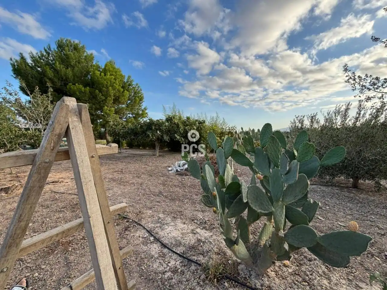 Houses for sale in Totana  with Private garden