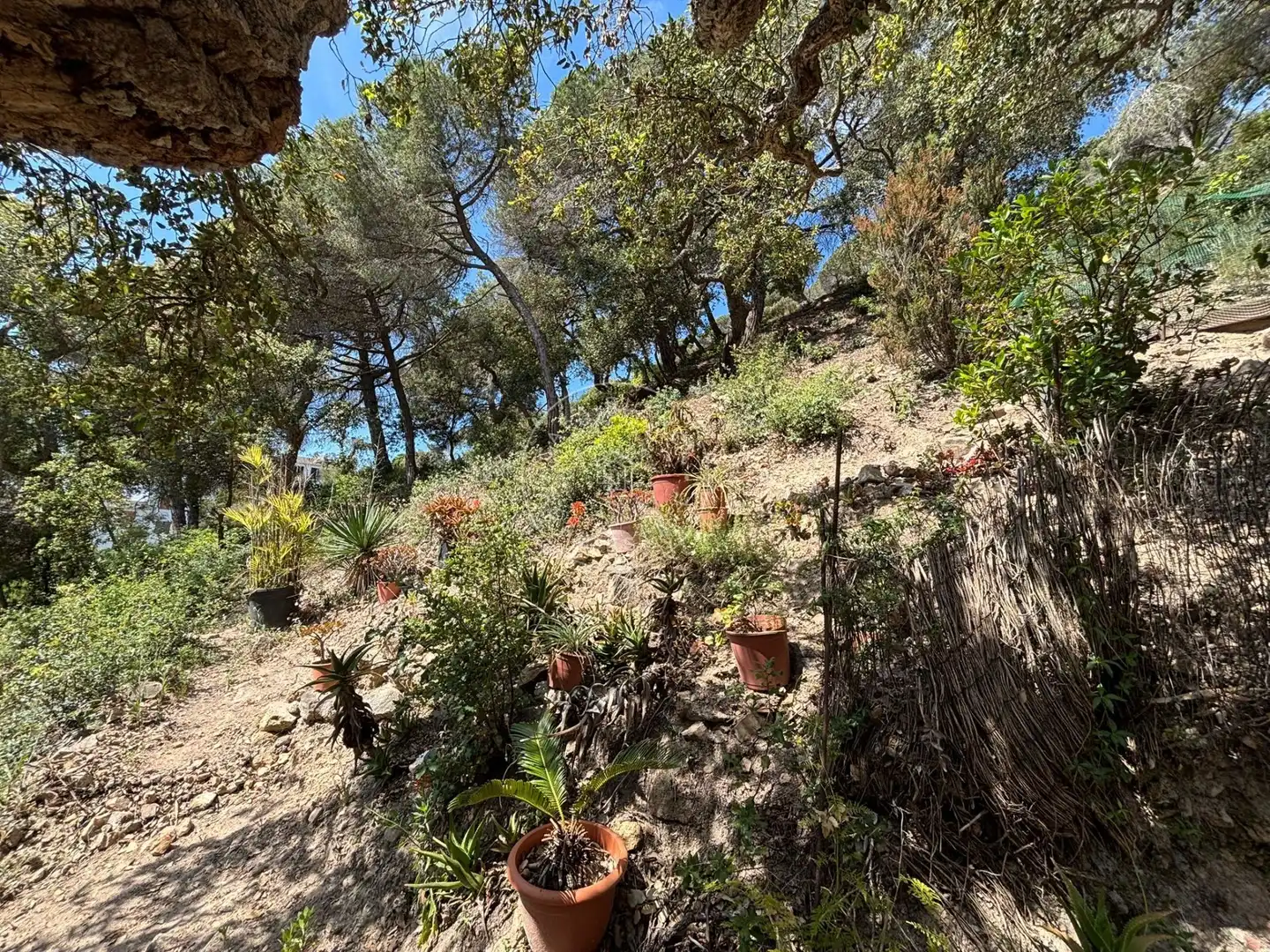 Terrenos y solares en venta en Canyelles, imagen 6