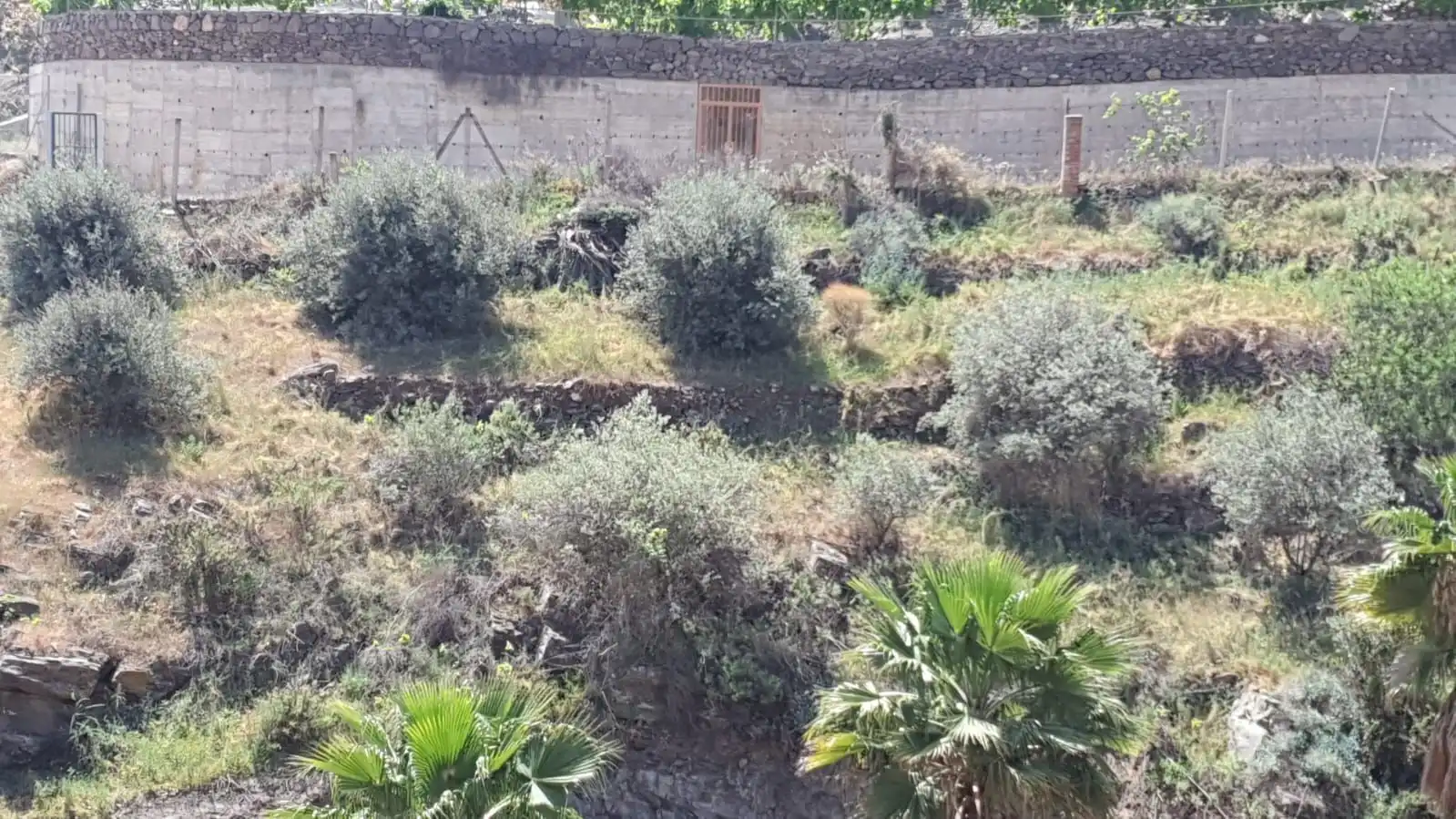 Casa rústica en venda a Torrox Pueblo, imagen 3