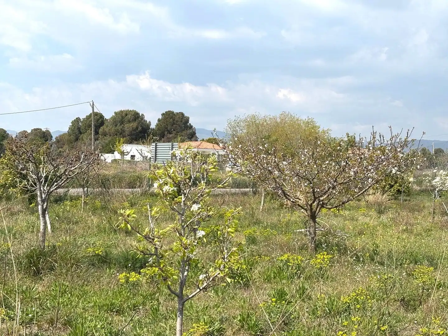 Rural land for sale in Santa Oliva, imagen 8