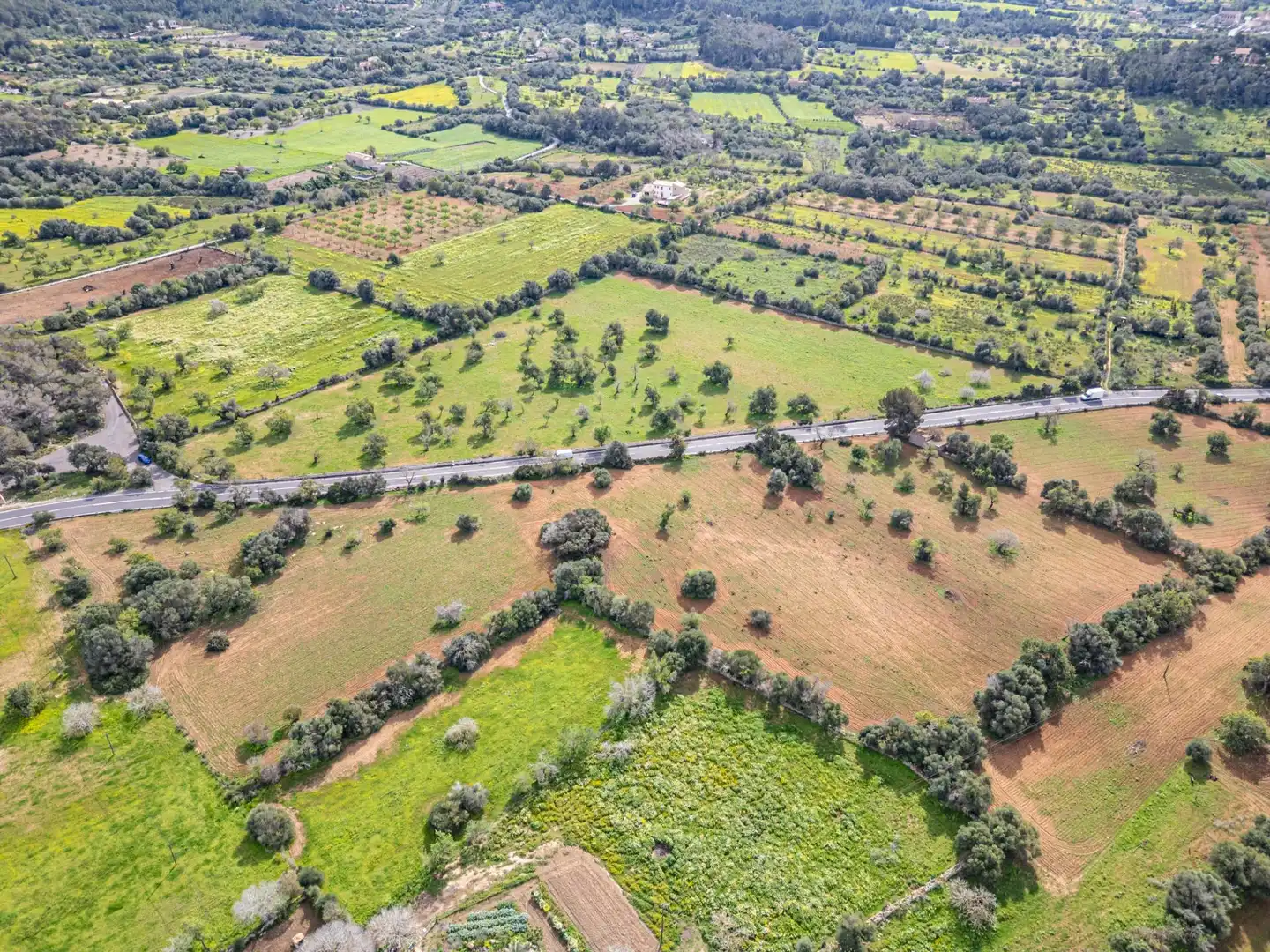 Rural land for sale in Felanitx Poble, imagen 27