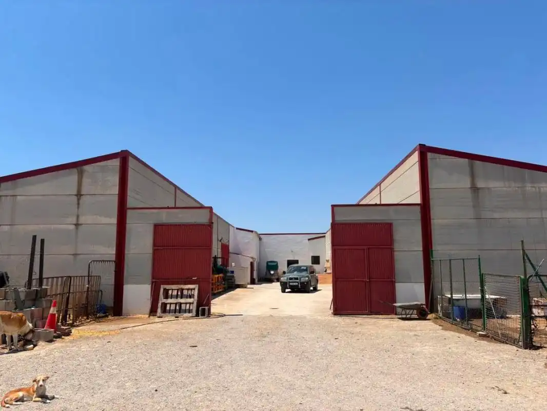 Vista exterior de Finca rústica en venda en El Saucejo amb Aire condicionat, Calefacció i Moblat