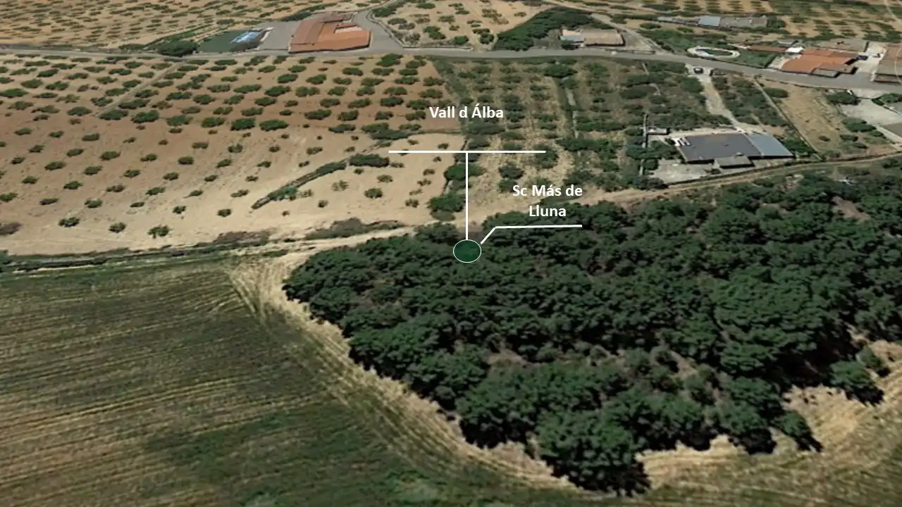 Terreny rústic en venda a Sector Más de Lluna, Polígonos 5 y 6, imagen 2