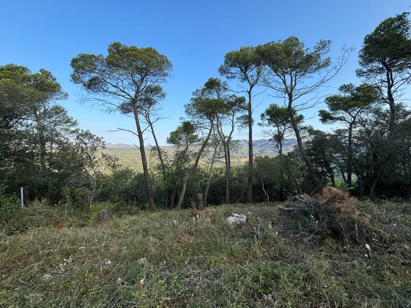 Residential land for sale in Carrer Pasarell, imagen 4
