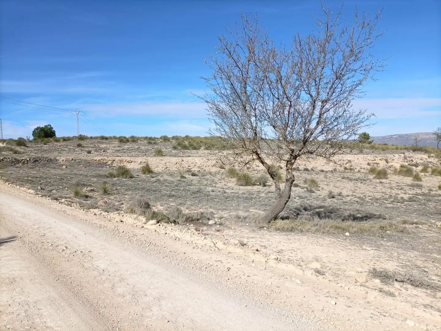 Wohnbaugrundstück zum Verkauf in Almansa, imagen 7