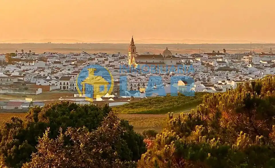 Terreni e lotti in vendita a Moguer, imagen 4