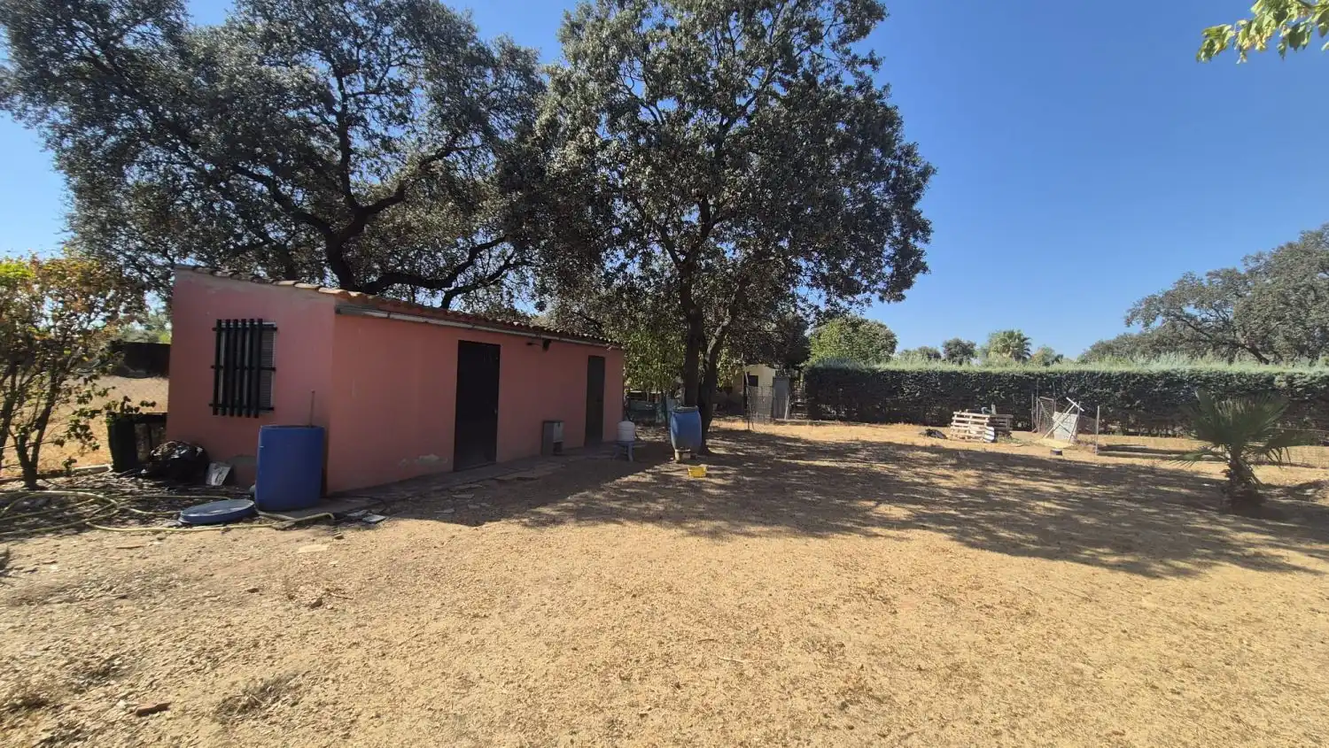 Detached house for sale in Carretera de Sevilla - Los Montitos, imagen 10