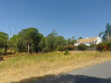 Terreny residencial en venda a Urbanización las Palmeritas 25C