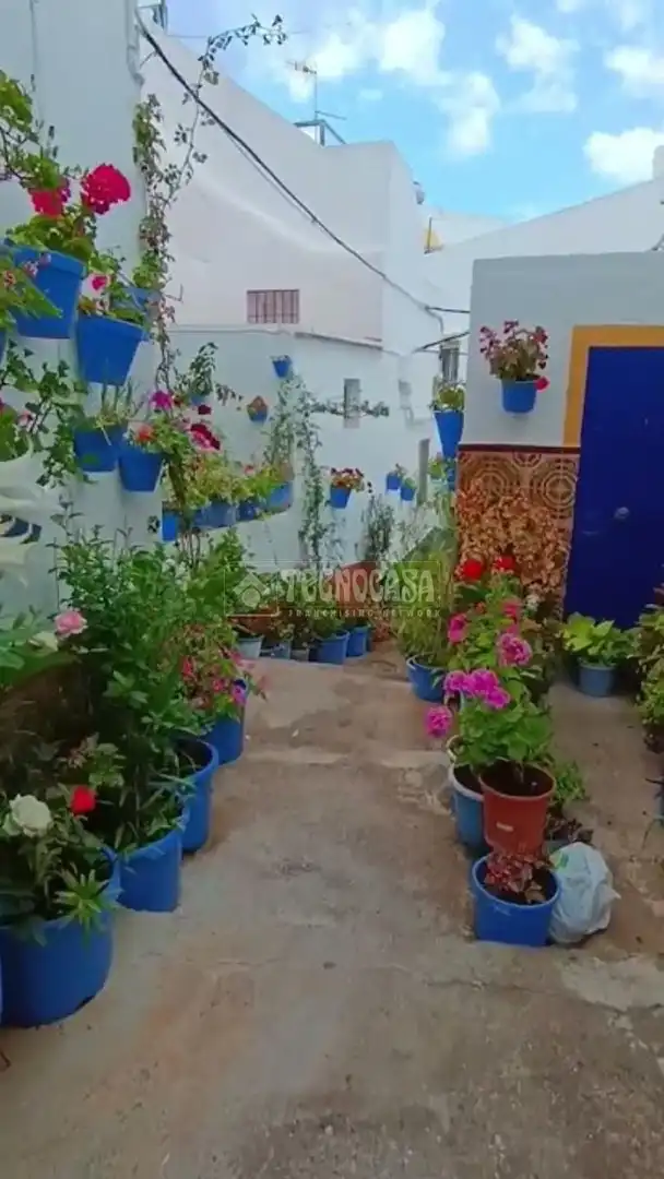 Wohnung zum Verkauf in Conil