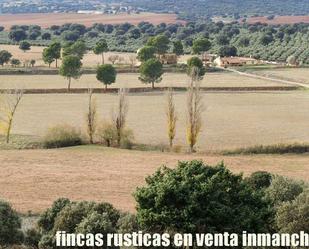 Land for sale in Alcaraz