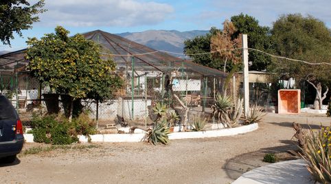 PARCELA EN VENTA (PECHINA), immagine 2