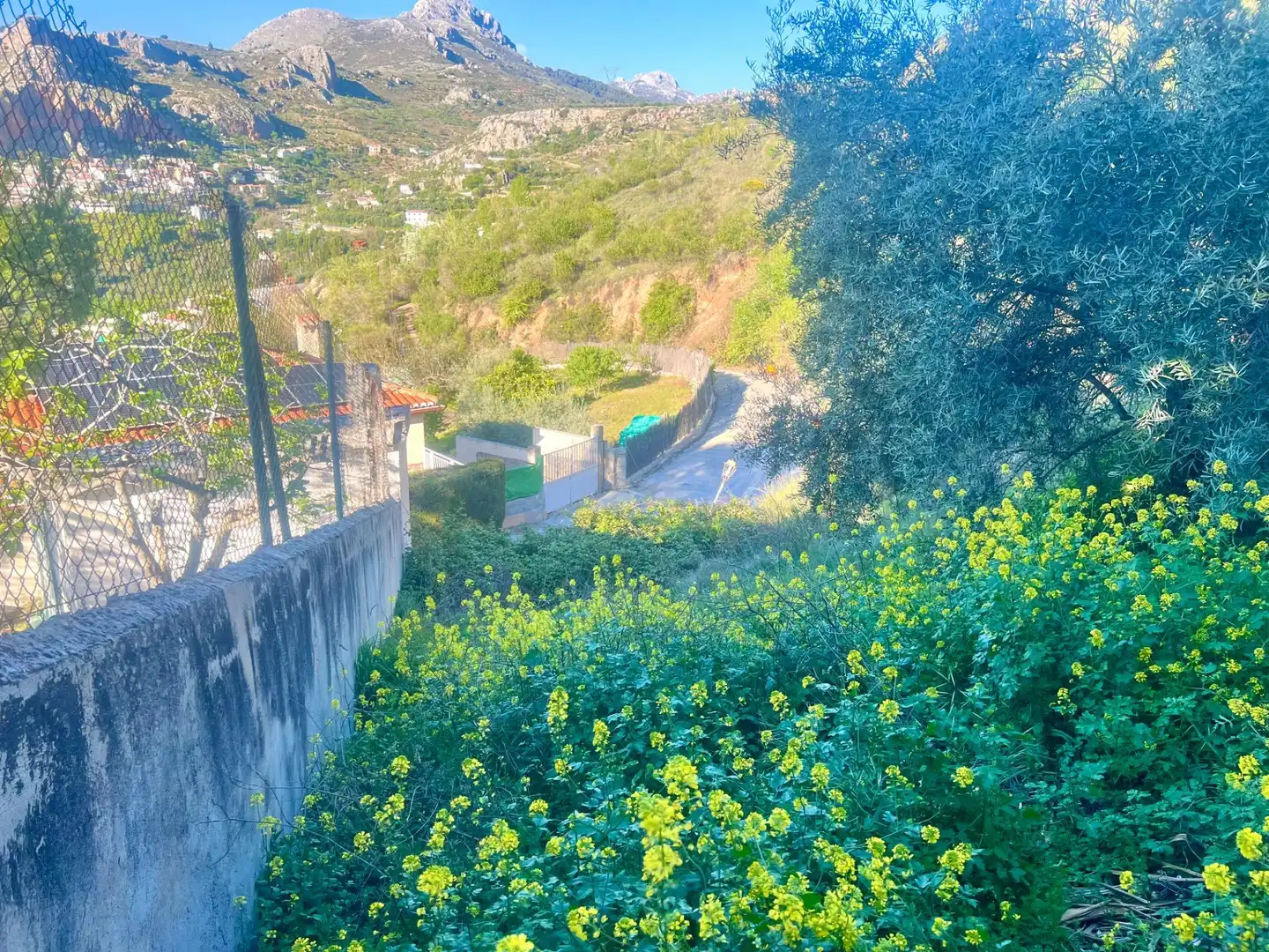 Terreno residencial en venta en Nívar, imagen 14