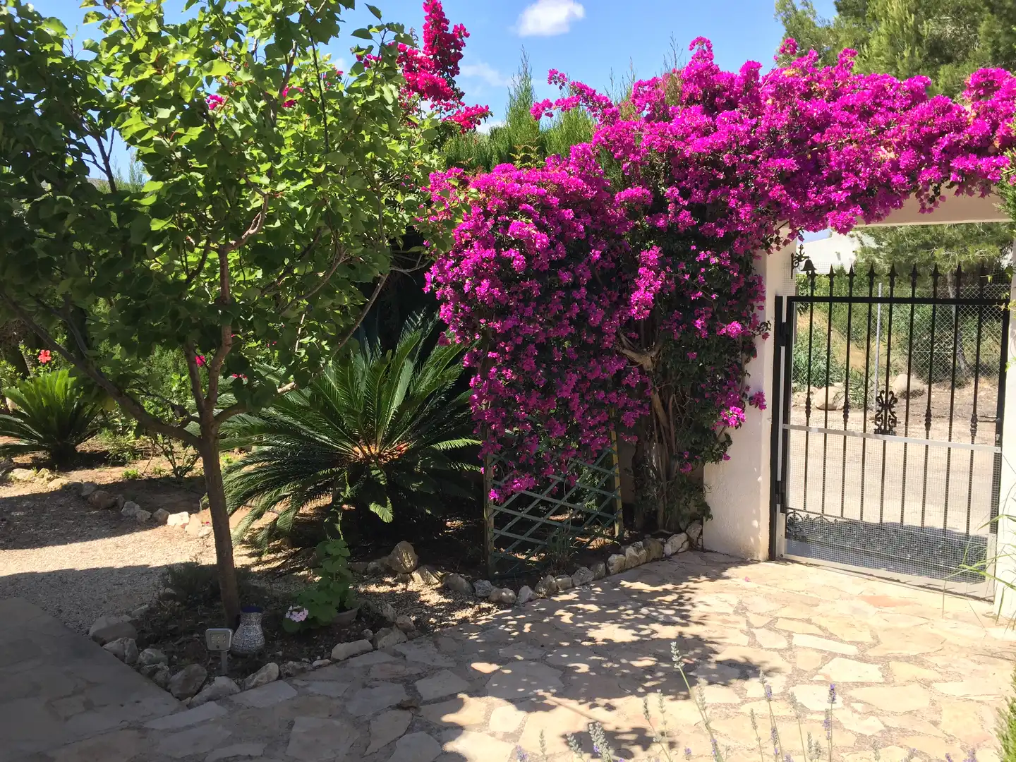Jardí de Casa o xalet en venda en Jávea / Xàbia amb Aire condicionat, Terrassa i Piscina